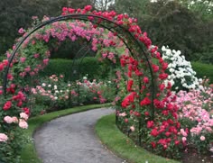 a garden filled with lots of flowers next to a lush green park path covered in pink and white roses