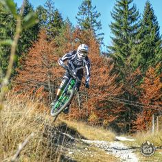 a person on a dirt bike jumping over a hill in the middle of some trees