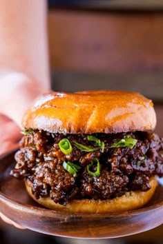 a person holding a plate with a sloppy joe sandwich