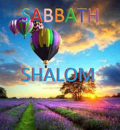 the words sabath shalohm in front of an image of lavender fields and hot air balloons