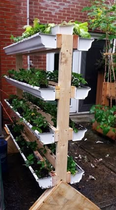 an outdoor garden with several plants growing in the planters and attached to wooden posts