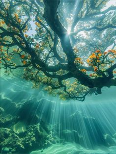 sunlight shining through the branches of a tree in an underwater forest filled with corals