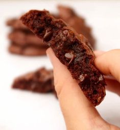 a hand holding a piece of chocolate cookie