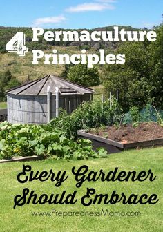 the four permaculture pringplies every gardener should embrace in their garden