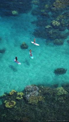 two people on surfboards in the water near corals and reef reefs, looking down at them