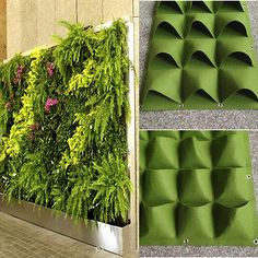 an image of a green wall with plants growing on it and another photo of the same planter