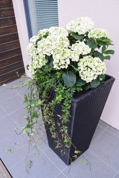 a planter filled with white flowers sitting on top of a tiled floor next to a building