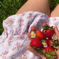 a person holding strawberries in their hand on the grass with daisies around them