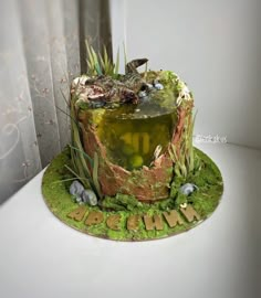 there is a cake that has moss on it and rocks in the middle with plants growing out of it