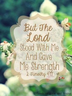 a quote from the bible, but the lord stood with me and gave me strength