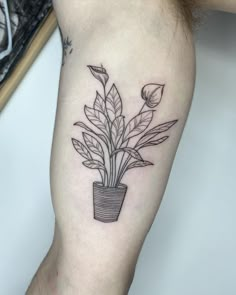 a black and white photo of a plant in a pot tattoo on the left arm