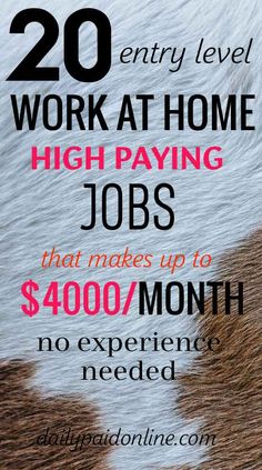 the words work at home high paying jobs that makes up to $ 400 / month no experience needed