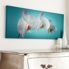 two white orchids on a teal blue background in a room with an antique dresser