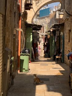 an alley way with shops and people in the distance, including a cat sitting on the sidewalk