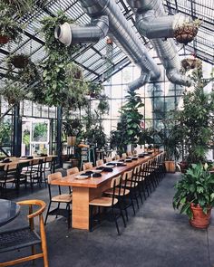 an indoor dining area with tables, chairs and potted plants in the middle of it