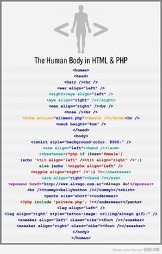 the human body in html and phhp is shown on this page