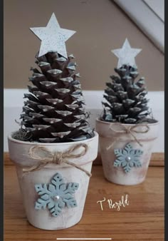 two potted pine cones decorated with snowflakes and stars are sitting on a table