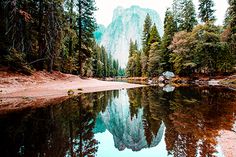 the ryan longnecker interview is featured in this image with trees and mountains behind it