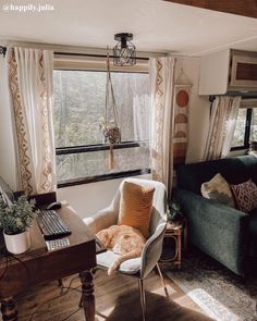 an orange cat sitting on a chair in front of a window