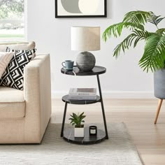 a living room with a couch, coffee table and potted plant