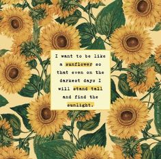 sunflowers with the quote i want to be like a sunflower so that even on the day i will stand tall and find the sunlight