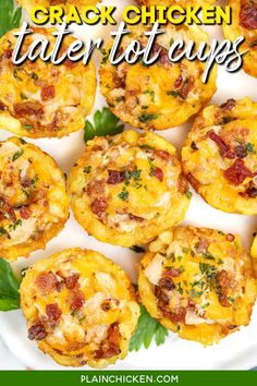 Crack Chicken Tater Tot Cups Recipe - Crispy tater tots stuffed with a mouthwatering mix of chicken, cheddar, bacon, and ranch, they’re the perfect bite-sized treat for any occasion. Whether it’s a party, game day, or a fun family dinner, these deliciously addictive cups will be a crowd favorite. Chicken Recipes For Football Games, Football Tailgate Breakfast Food, Appetizers With Tater Tots, Tater Tot Cups Recipes, Tater Tots Appetizers For Party, Game Day Dinner Ideas Football Food, Fun Lunch Ideas For Kids, Turkey Cups, Tater Tot Cups