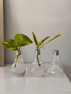 three light bulbs with plants in them on a table