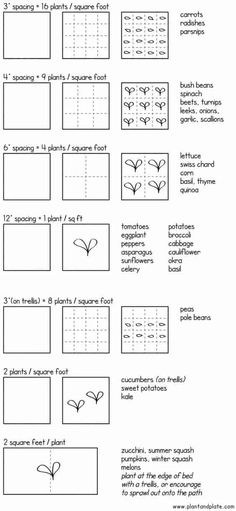 printable worksheet to help kids learn how to make their own paper flowers