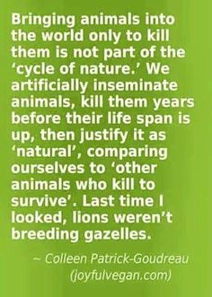 a green background with the words bridging animals into the world only to kill them is not part of the cycle of nature