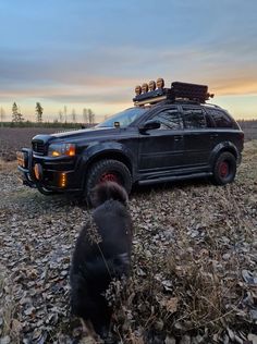 a black dog standing in front of a truck with luggage on it's roof