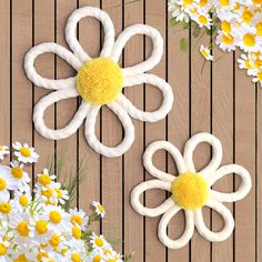 two white and yellow flowers sitting next to each other on a wooden table with daisies