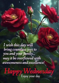 red roses with the words happy wednesday enjoy your day