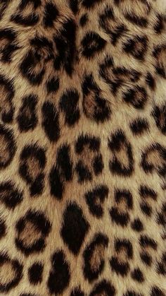 an animal print pattern is seen in this close up photo, it looks like the skin of a leopard or cheetah