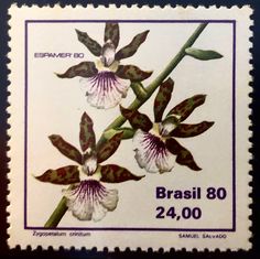 a stamp with two flowers on it and the words brasilil 80 written in spanish