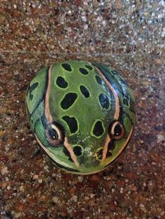 a frog painted on top of a rock with the words leopard frog painted on it