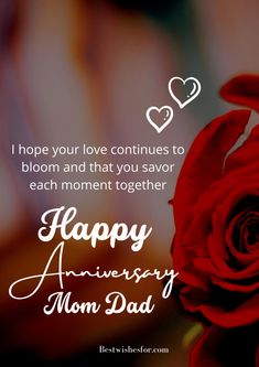 a red rose with the words happy anniversary mom dad