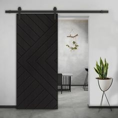 an open door leading to a living room with a potted plant in the corner