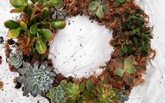 a wreath made out of succulents and dirt on top of a white surface