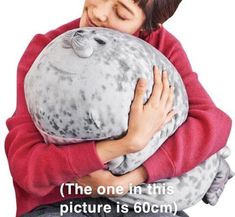 a boy is hugging a stuffed seal animal