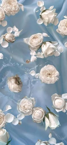 white flowers floating on top of blue water