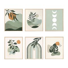 four framed art prints with different shapes and sizes, each featuring an abstract plant design