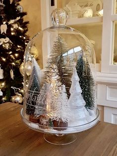 a glass clochet with christmas trees under it