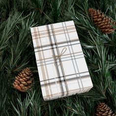 a wrapped present sitting on top of a pine tree next to some cones and needles