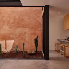 the interior of a modern home with cactus and succulents