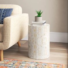 a living room with a couch, chair and potted plant on the end table