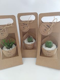 three small pots with succulents in them sitting inside brown paper bags on a white table