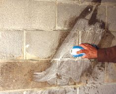 a person spraying water onto a brick wall with a spray bottle and rag in their hand