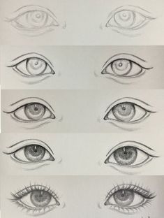 several different types of eyes are shown in this drawing