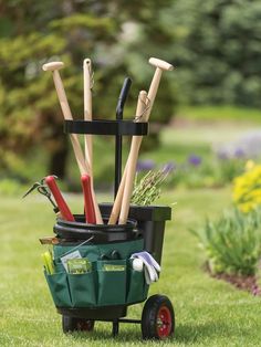 a garden tool caddy with gardening tools in it