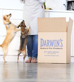 two dogs and a person standing in front of a box that says darwin's natural pet products